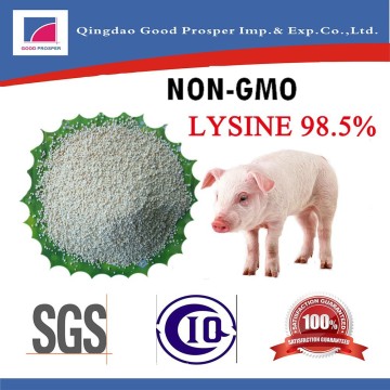 Poultry Feed l-lysine/l lysine/lysine hcl 98.5%