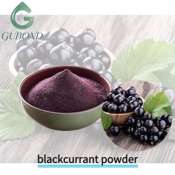 Blackcurrant Spray Dried Fruit Powder Anthocyanin Rich
