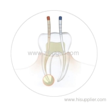 Dental Absorbent Paper Points?