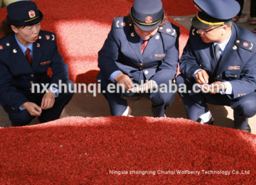 NingXia USDA certified goji berry seeds/goji berries