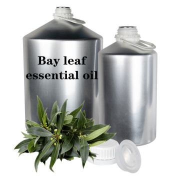 Food Grade Bay Leaf Essential Oil For Diffuser