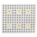 Hot 3000w Commercial Led Grow Lights 2020