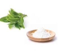 Plant Extract vine tea extract