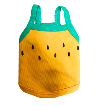 Knitted fabric kiwi watermelon straps gallus pet vest