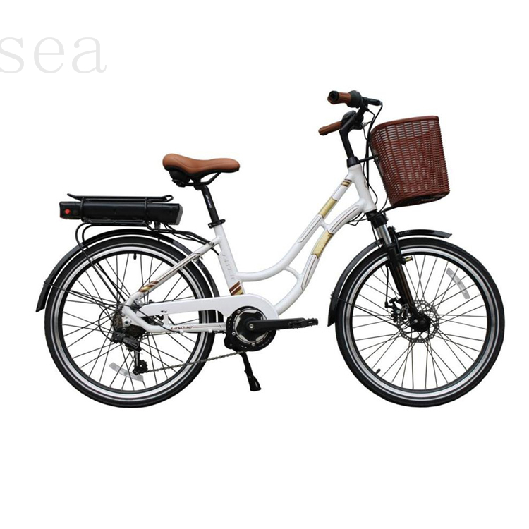 20''folding suspension fork ebike/20''mini frame folding electric bicycle/20''small folding ebike 250w motor