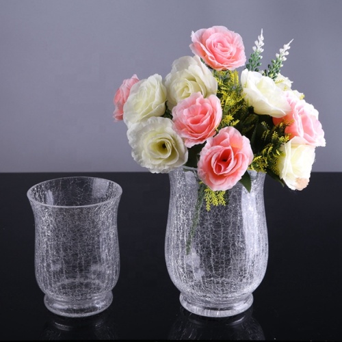 Vases à fleurs en verre transparent à effet de fissure en gros