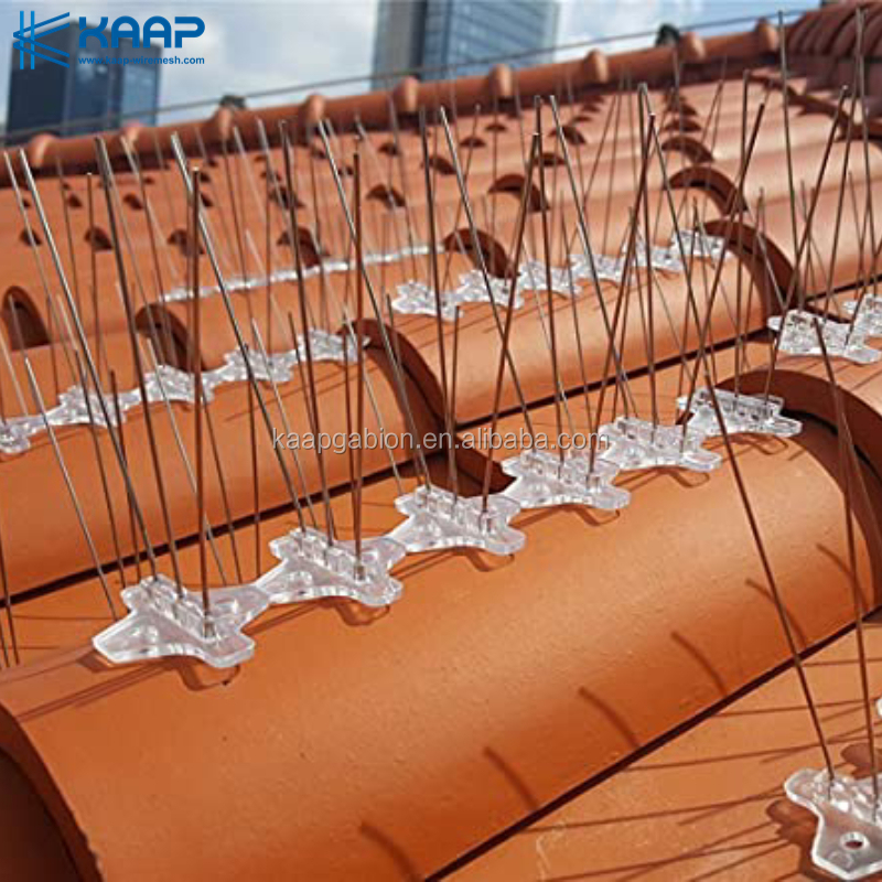 China factory Stainless steel Anti Bird wire barriers & Pigeon spikes