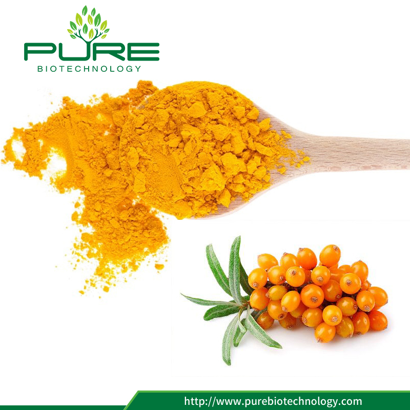 غمب القياسية البحر باكثورن التوت استخراج مسحوق GMP Standard Sea Buckthorn Berry Extract Powder