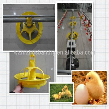 automatic poultry feeders and drinkers for duck