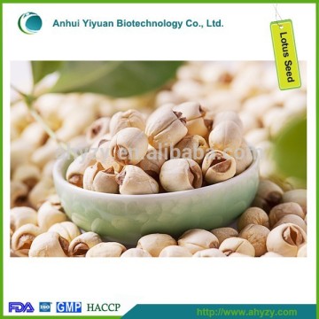High Quality White Lotus Seed without Plumule