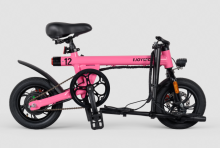 Foldable Lithium Batterie Ebike