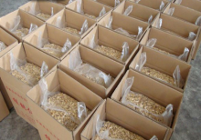 Packaged walnut kernel flavor