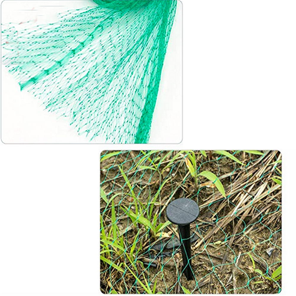 Plastic Diamond Garden Anti Bird Net