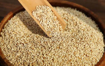 NEW CROP NATURAL AND HULLED SESAME SEED