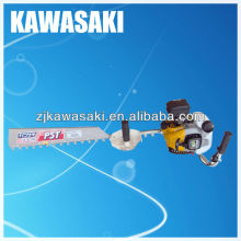 Kawasaki prunes PST75H