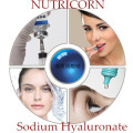 Economical Cosmetic Garde &amp; Food Grade Sodium Hyaluronate Proveedor