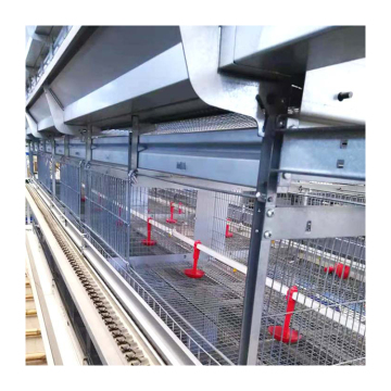 Automatic H Type Pullet Cage Chicken Farming Equipment