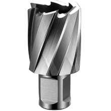 TCT Rail Annular Broach Cutter with Weldon Shank