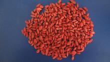 organic dried goji berries  2017 new