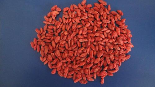 organic dried goji berries  2017 new