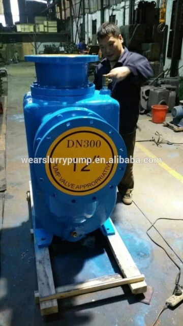 effluent transfer pump