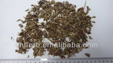 Dried Pueraria flower,Kudzu,Arrowroot,lobat,mirifica,thomsonii,Ge hua,Gghua,Dealcoholic tea,Anti inebriation tea