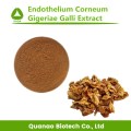 Endothel Corneum Gigeriae Galli-Extrakt-Pulver 10: 1