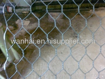 80x100mm Double Twist Steel Wire Mesh?