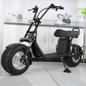 1000W Halley Electric Scooter City Coco for Adults