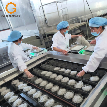 Glass Noodles Forming and Drying System - 1000 Kg/Day Capacity