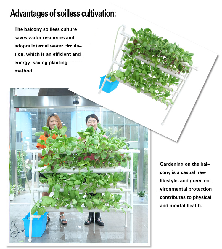 hydroponic system