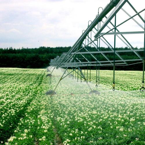 Plant watering center pivot irrigator for big land