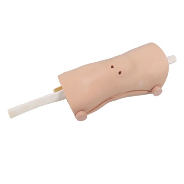 Detachable Knee Joint Model and Knee Arthroscopy Training Manikin - DARHMMY