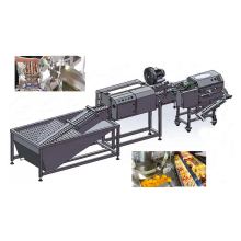 Automatic Egg Processing Line: Washing, Drying, and Separating Machines