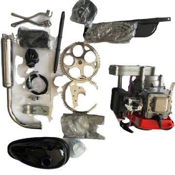 Hot Sale: 49cc 4 Stroke Engine Kit for Gas Bicycle Conversion