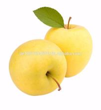 Gansu Province Yellow Apple