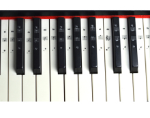 High-Quality Wholesale Piano Keyboard Stickers: 88 Keys, Environmentally Friendly, Self-Adhesive, Universal Fit for Piano Keyboards