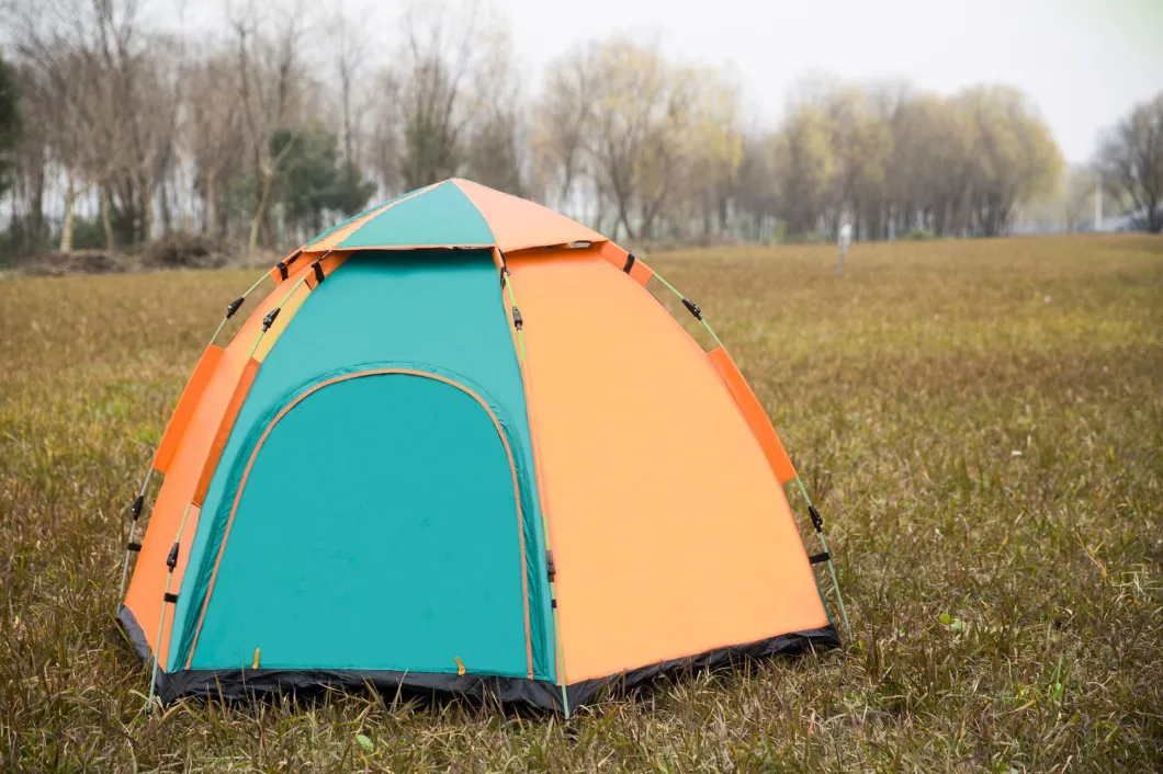 Wholesale Automatic 4 Person Outdoor Waterproof Camping Tent for Sale