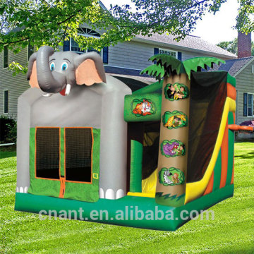 happy birthday inflatable combo