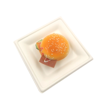 Disposable Sugarcane Bagasse Tray Biodegardable 8INCH Tray