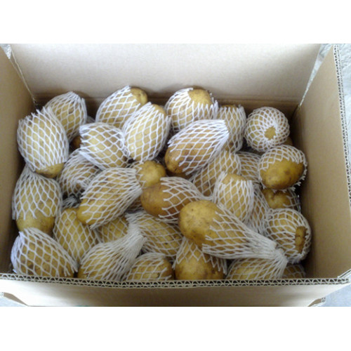 Shandong nieuwe oogst beste kwaliteit gele holland aardappel