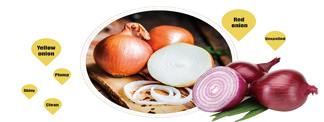 Best Quality Round Red Onion Yellow Cebolla Onion
