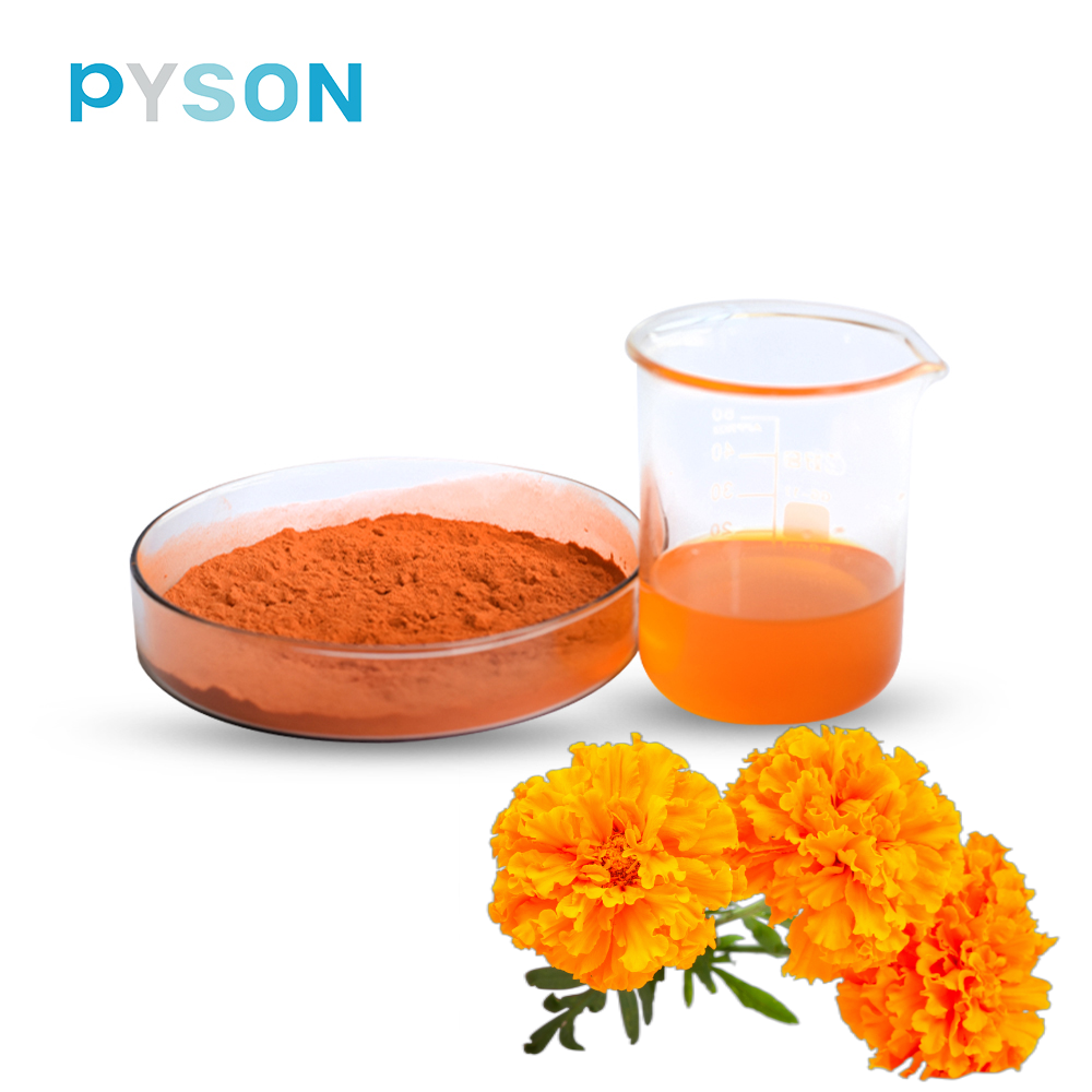 Marigold Extract Lutein 20٪ HPLC