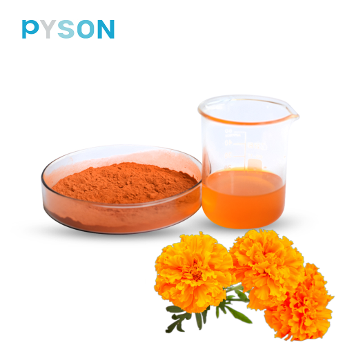 Extrait de marigold lutein 20% HPLC