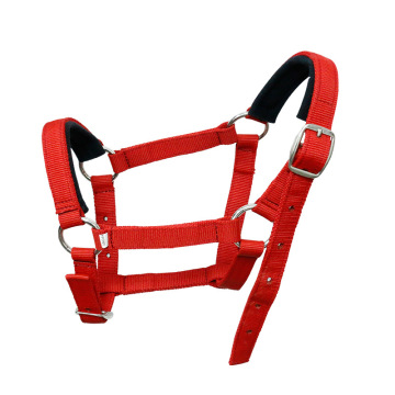 Custom PP Webbing Horse Halter for Equestrian Racing Bridle