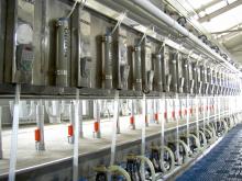 Mid-set milking parlors for cows