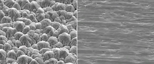 มูลนิธิฯ RTF