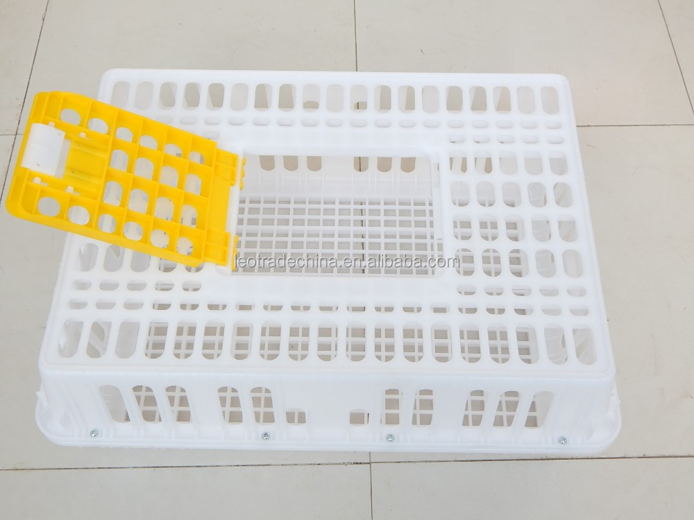 cheapest price live chicken crate plastic crate for live chicken