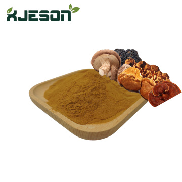 Complex Mushroom Extract Powder
