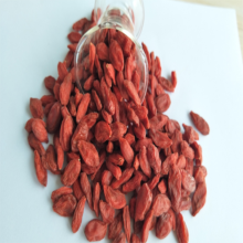 Ningxia Düşük kalıntılar Goji çilek Çin wolfberry